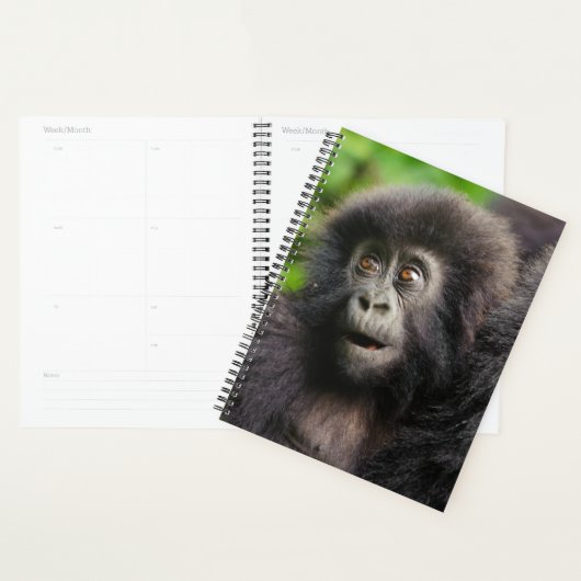 Cutest Baby Animals | Young Mountain Gorilla Planner (Display)