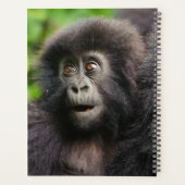 Cutest Baby Animals | Young Mountain Gorilla Planner (Achterkant)