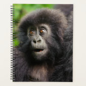 Cutest Baby Animals | Young Mountain Gorilla Planner (Voorkant)
