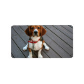Cutest Beagle Dog Ever Etiket (Voorkant)