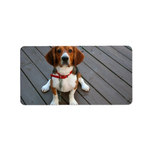 Cutest Beagle Dog Ever Etiket (Voorkant)