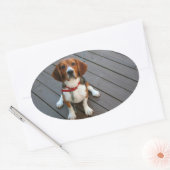 Cutest Beagle Dog Ever Ovale Sticker (Envelop)
