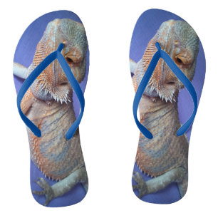 Cutest Beared Dragon Foto Blue Teenslippers