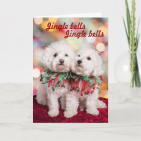 Cutest Bichon Frise-kerstkaart