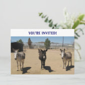 Cutest Birthday Burros Western Kaart (Staand voorkant)