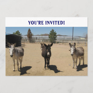 Cutest Birthday Burros Western Kaart