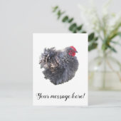Cutest Blue Frizzle Cochin Bantam Rooster Chicken Briefkaart (Staand voorkant)