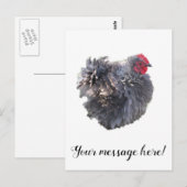 Cutest Blue Frizzle Cochin Bantam Rooster Chicken Briefkaart (Voorkant / Achterkant)