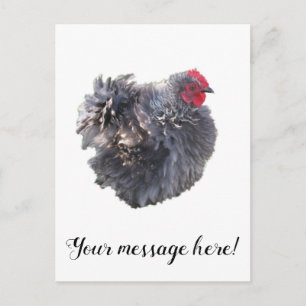 Cutest Blue Frizzle Cochin Bantam Rooster Chicken Briefkaart