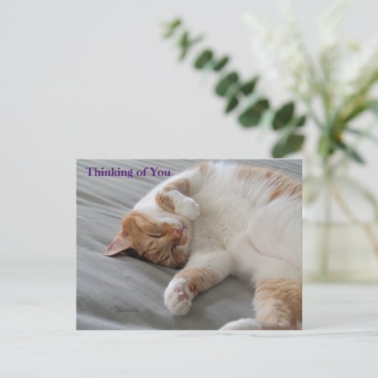 Cutest Cat Thinking of you Briefkaart (Staand voorkant)