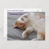 Cutest Cat Thinking of you Briefkaart (Voorkant / Achterkant)