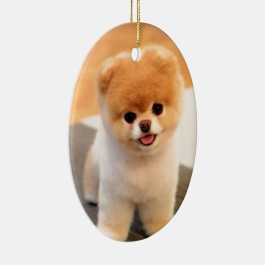 Cutest Dog in de wereld Keramisch Ornament (Rechts)