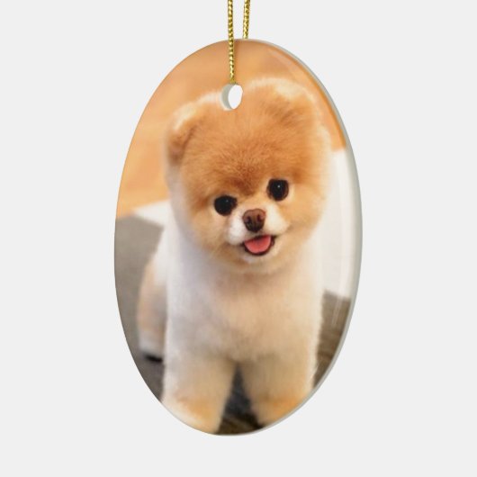 Cutest Dog in de wereld Keramisch Ornament (Links)