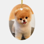 Cutest Dog in de wereld Keramisch Ornament (Voorkant)