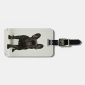 Cutest French Bulldog Puppy Bagagelabel (Voorkant horizontaal)