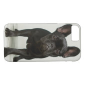 Cutest French Bulldog Puppy Case-Mate iPhone Case (Achterkant (Horizontaal))