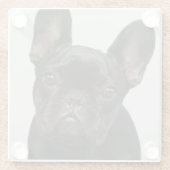 Cutest French Bulldog Puppy Glazen Onderzetter (Achterkant)
