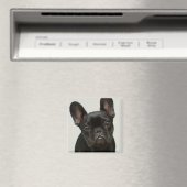 Cutest French Bulldog Puppy Magneet (Insitu (Vaatwasser))