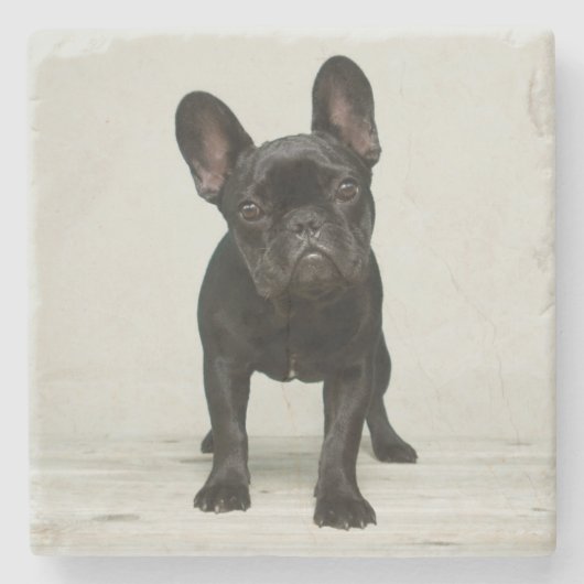 Cutest French Bulldog Puppy Stenen Onderzetter (Voorkant)