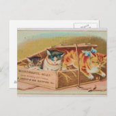 Cutest Kittens Soap Ad Briefkaart (Voorkant / Achterkant)