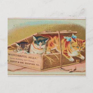 Cutest Kittens Soap Ad Briefkaart