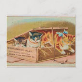 Cutest Kittens Soap Ad Briefkaart (Voorkant)