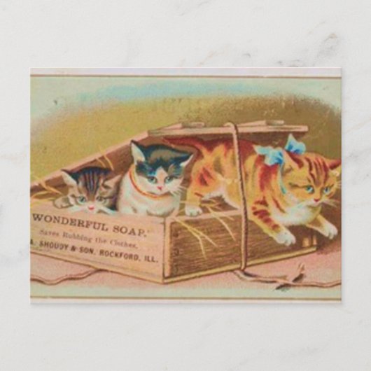 Cutest Kittens Soap Ad Briefkaart (Voorkant)