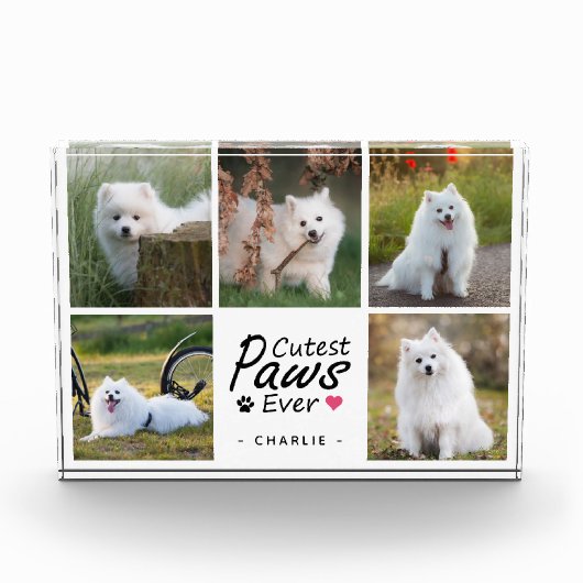 Cutest Paws Ever Modern Cute Pet Dog Photo Collage Fotoblokken (Voorkant)