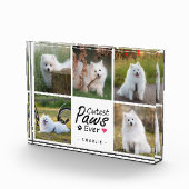 Cutest Paws Ever Modern Cute Pet Dog Photo Collage Fotoblokken (Rechts)