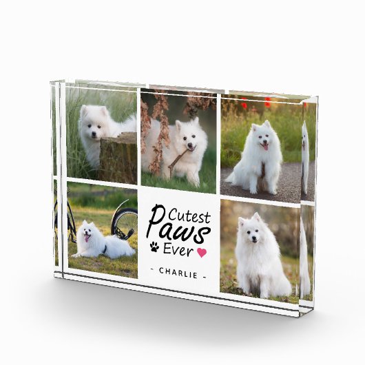 Cutest Paws Ever Modern Cute Pet Dog Photo Collage Fotoblokken (Rechts)