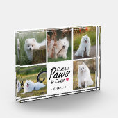 Cutest Paws Ever Modern Cute Pet Dog Photo Collage Fotoblokken (Links)