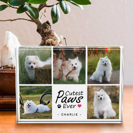 Cutest Paws Ever Modern Cute Pet Dog Photo Collage Fotoblokken
