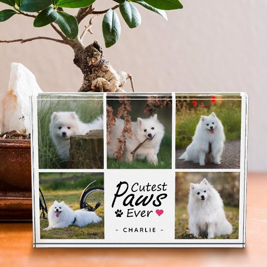 Cutest Paws Ever Modern Cute Pet Dog Photo Collage Fotoblokken