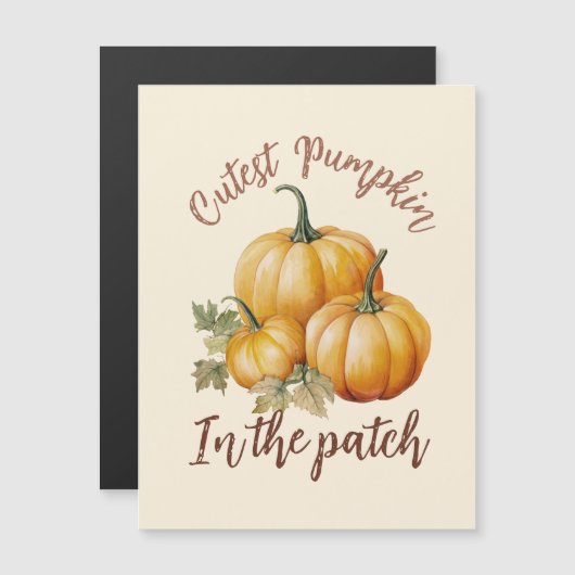 Cutest Pumpkin in de pleister (Voorkant / Achterkant)