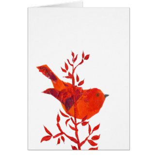 Cutest Red Bird op planeet