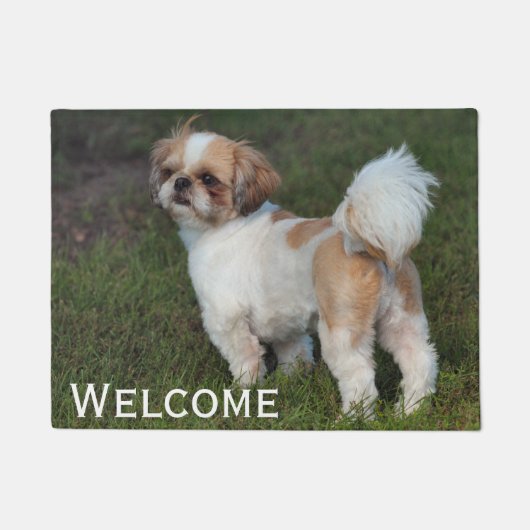 Cutest Shih Tzu Deurmat (Voorkant)