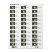 Cutest Shih Tzu Etiket (Full Sheet)