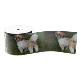 Cutest Shih Tzu Grosgrain Lint