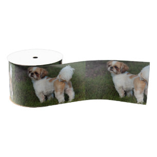 Cutest Shih Tzu Grosgrain Lint