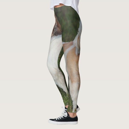 Cutest Shih Tzu Leggings (Links)