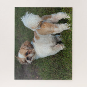 Cutest Shih Tzu Legpuzzel
