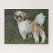 Cutest Shih Tzu Legpuzzel (Horizontaal)