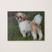 Cutest Shih Tzu Legpuzzel (Horizontaal)