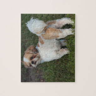 Cutest Shih Tzu Legpuzzel