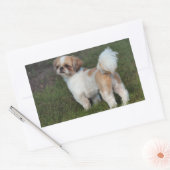 Cutest Shih Tzu Rechthoekige Sticker (Envelop)