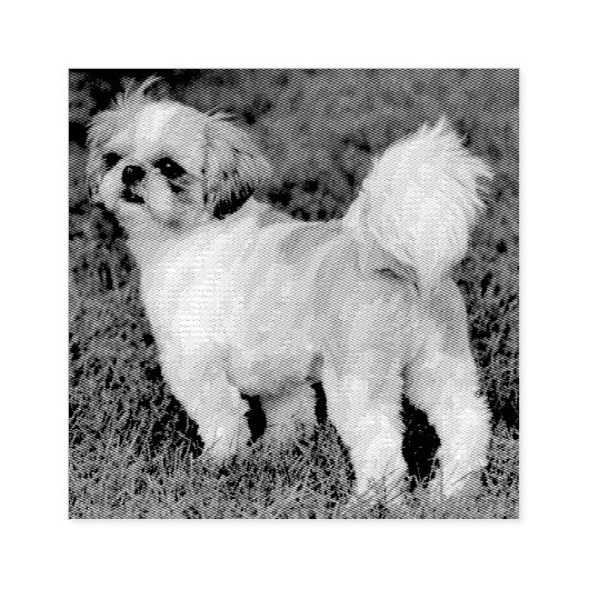 Cutest Shih Tzu Rubberstempel (Afrduk)