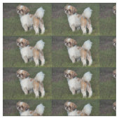 Cutest Shih Tzu Stof (Swatch)