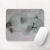 Cutest SibKitten Mousepad - Gepersonaliseerd Muismat (Met muis)