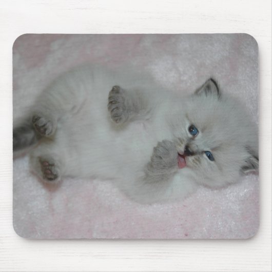 Cutest SibKitten Mousepad - Gepersonaliseerd Muismat (Voorkant)