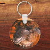 Cutey Llama Animal Gepersonaliseerd Sleutelhanger (Voorkant)